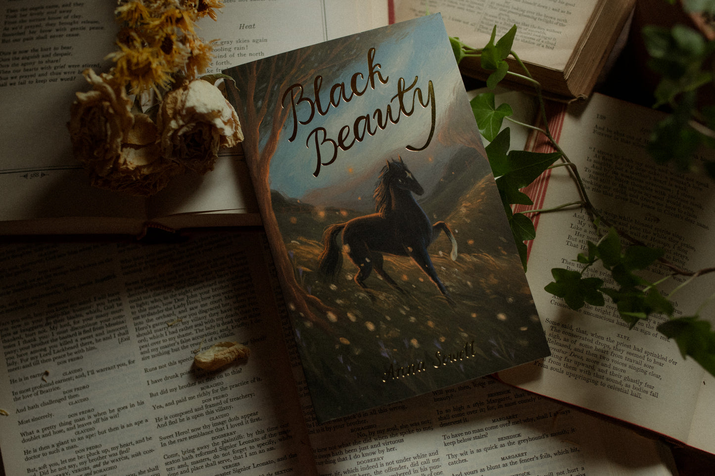 Black Beauty: Exclusive Edition