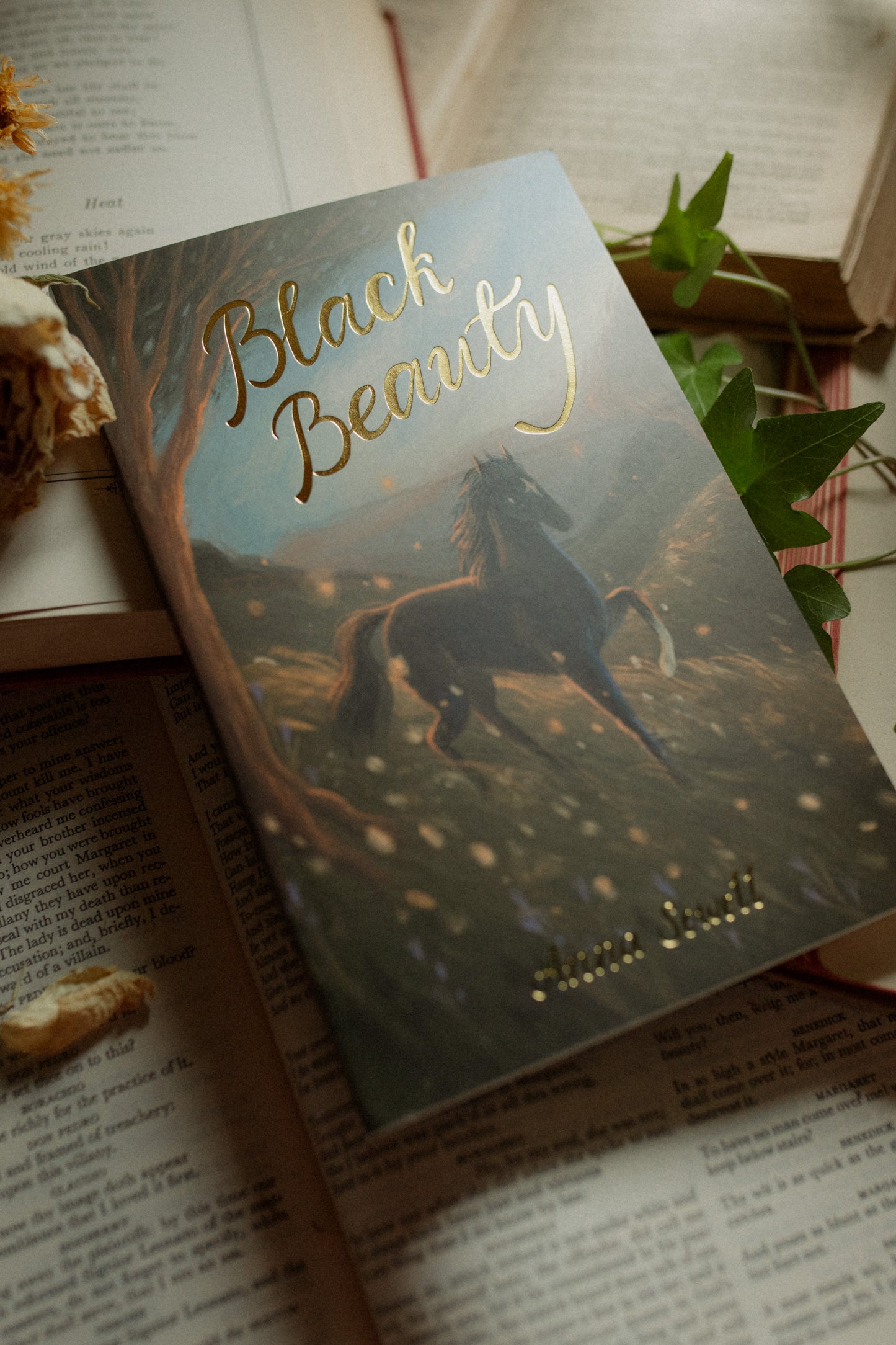 Black Beauty: Exclusive Edition