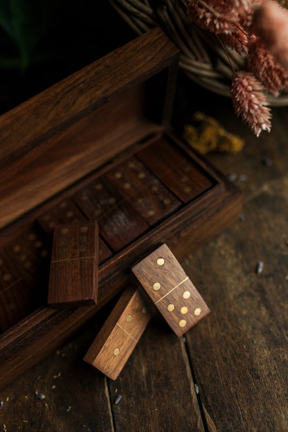 Domino Wooden Game Set