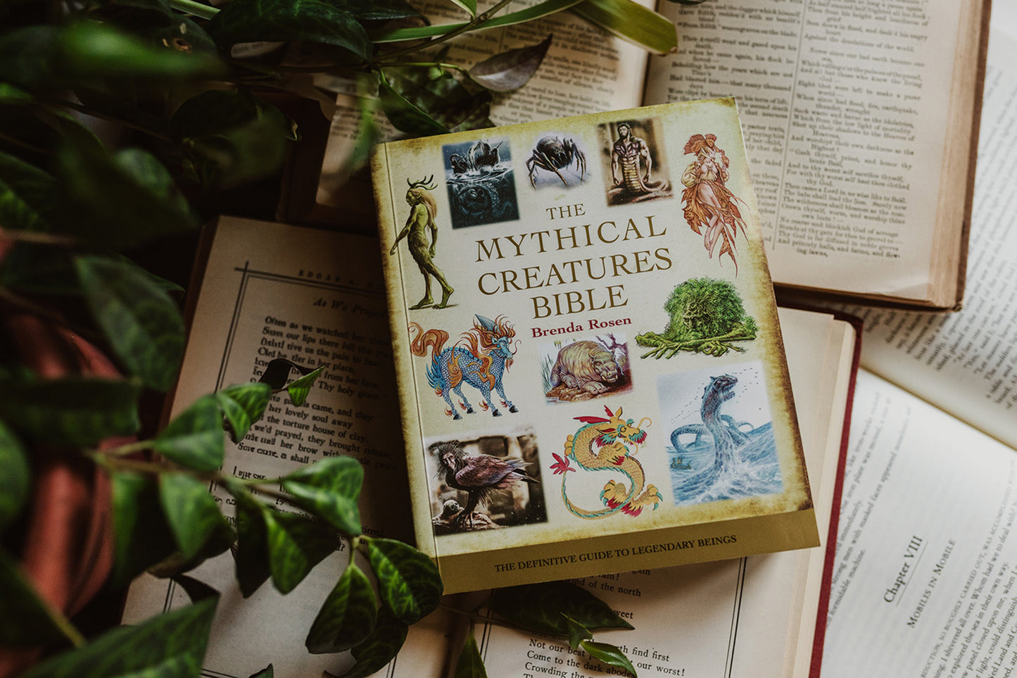 Mythical Creatures Bible