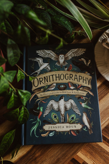 Ornithography