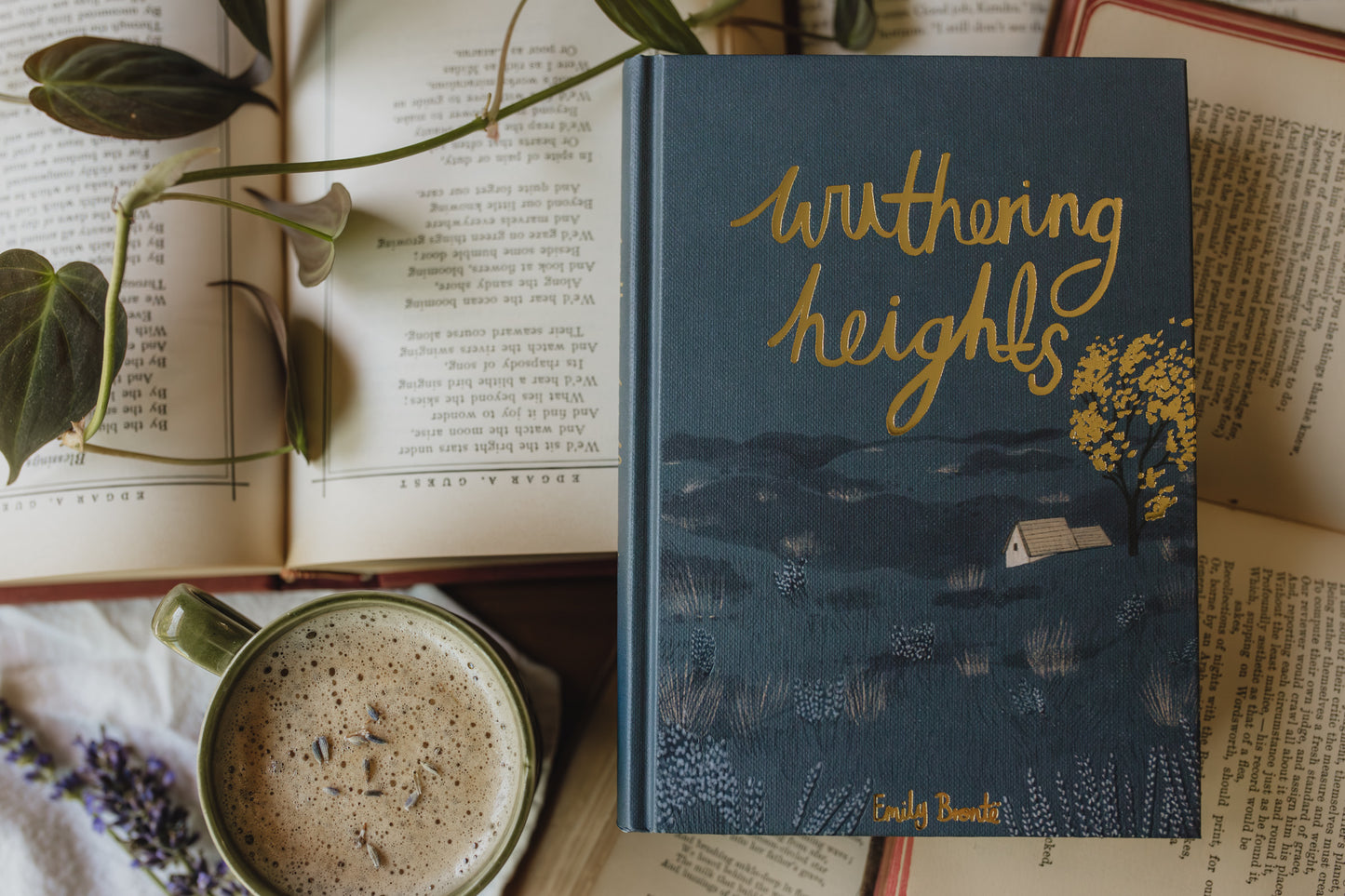 Wuthering Heights: Collector's Edition