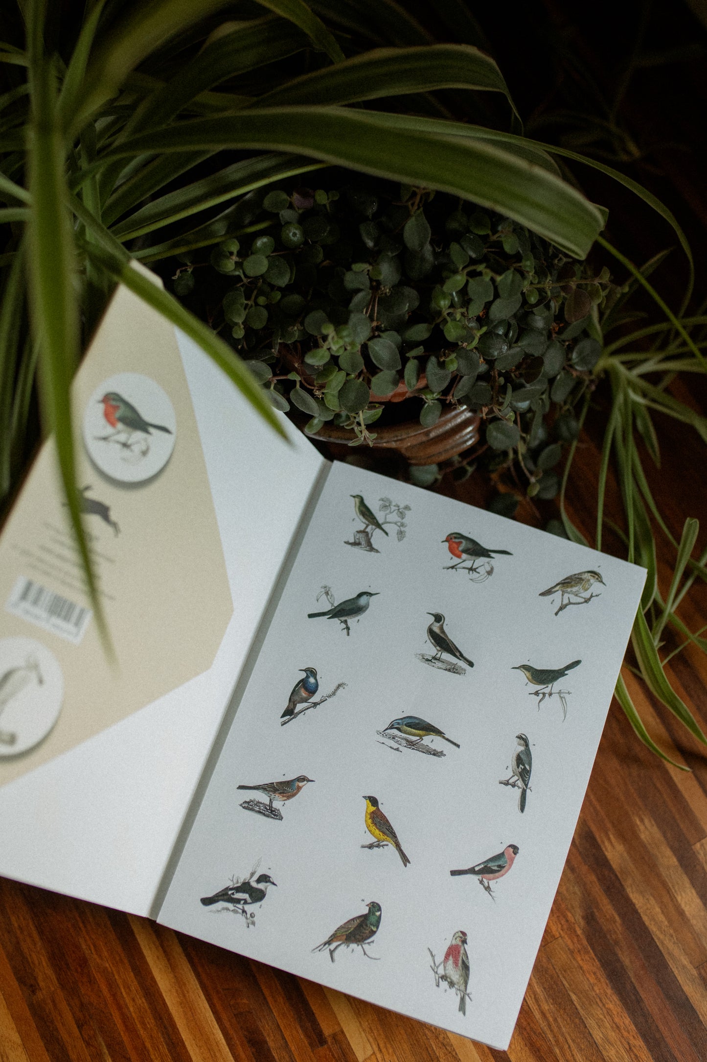 Fauna Label Sticker & Tape Book