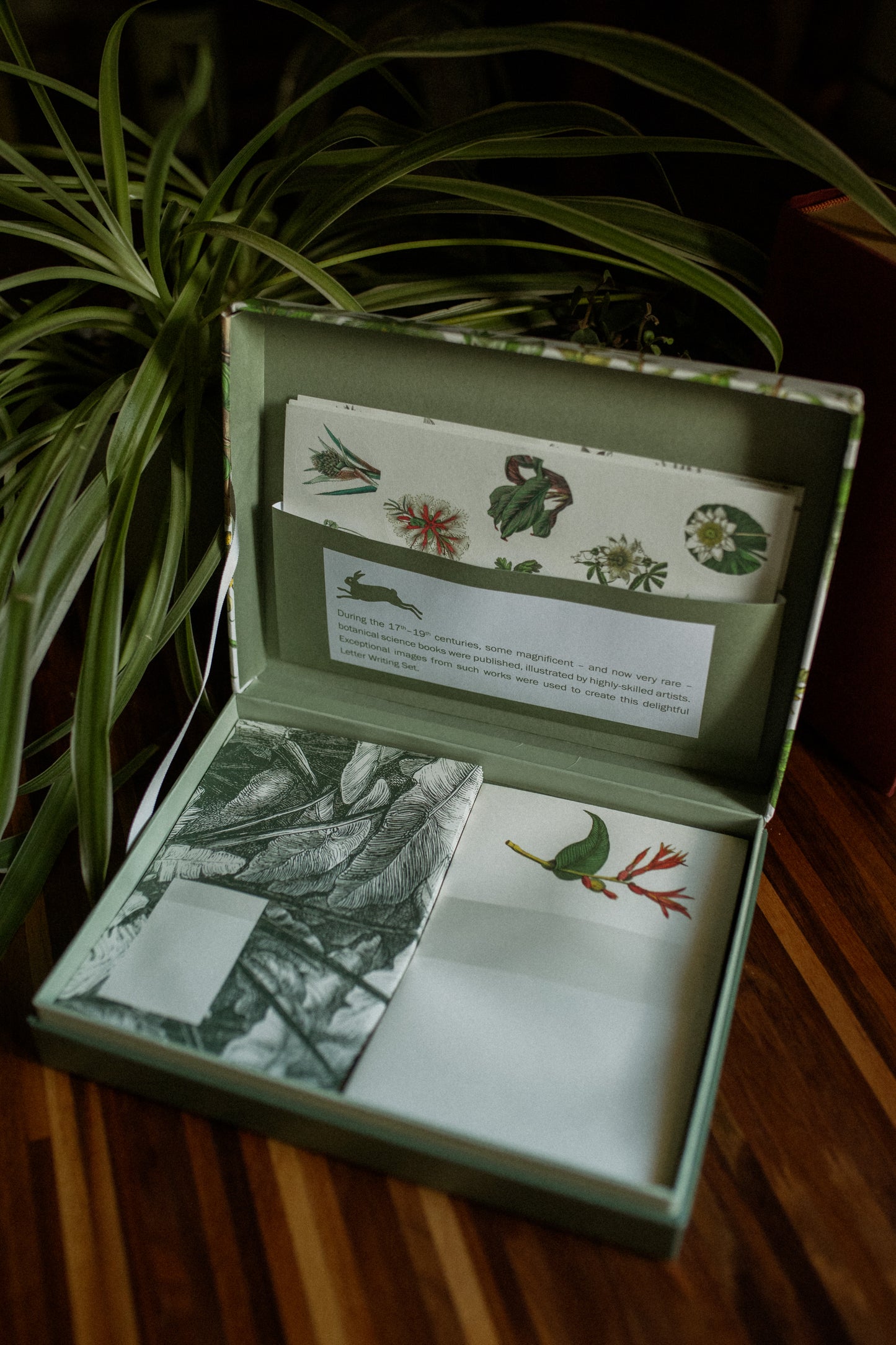 Botanical Letter Writing Set