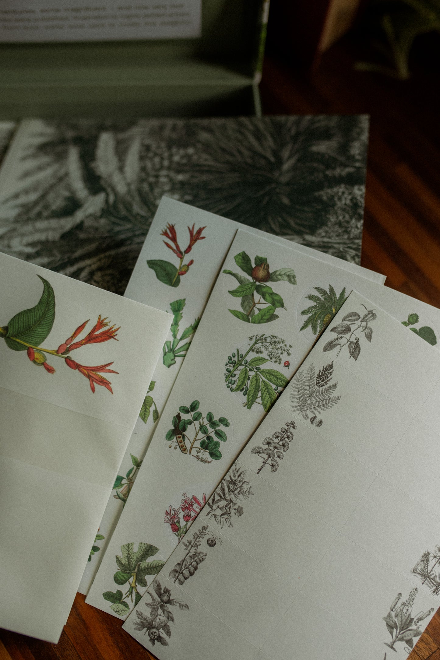 Botanical Letter Writing Set