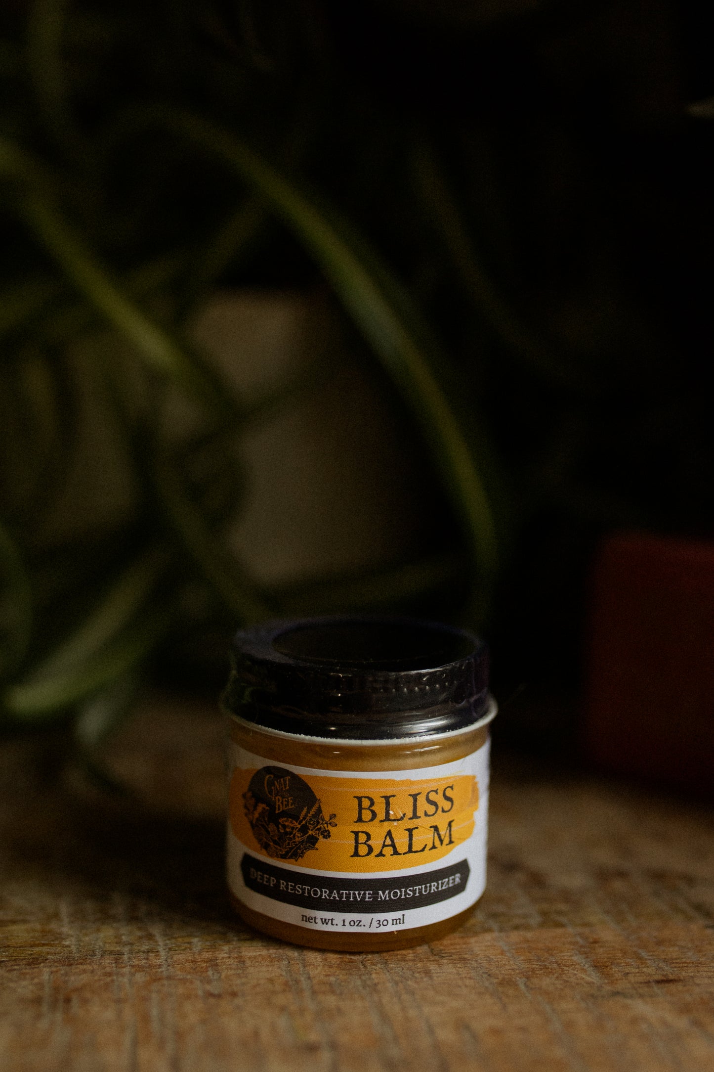 Bliss Balm | Restorative Face Moisturizer