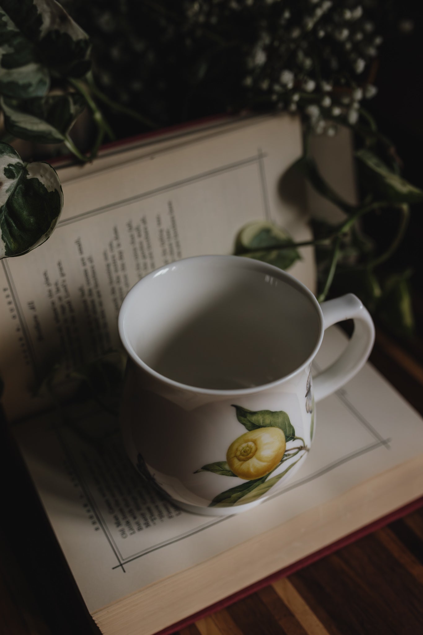 Nantucket Home Fruit & Bee Coffee Mug - Pre-Loved