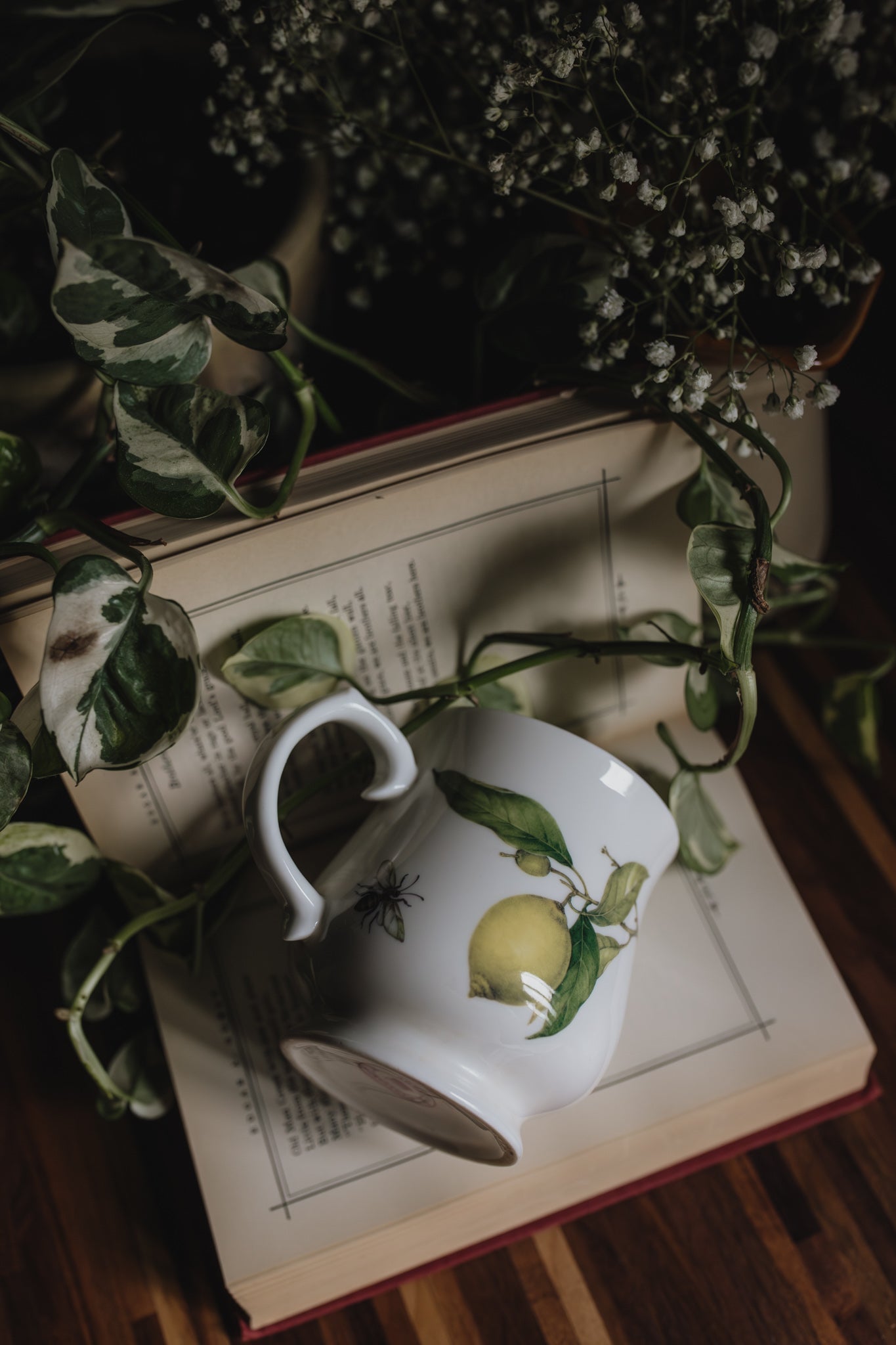 Nantucket Home Fruit & Bee Coffee Mug - Pre-Loved